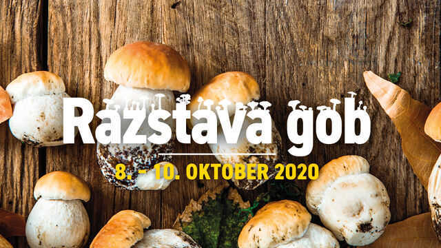 Razstava gob