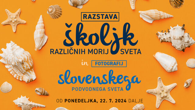 Razstava školjk in fotografij »Pod gladino slovenskega morja«